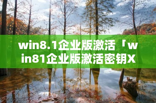 win8.1企业版激活「win81企业版激活密钥X,0是什么意思」