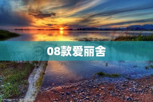 08款爱丽舍：奢华与实用的完美结合