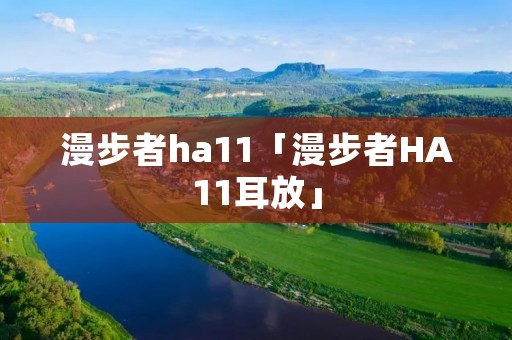 漫步者ha11「漫步者HA11耳放」