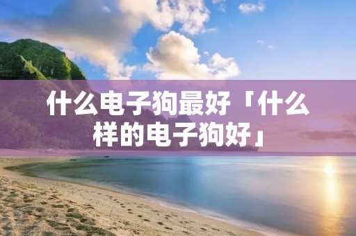 什么电子狗最好「什么样的电子狗好」 什么电子狗最好「什么样的电子狗好」