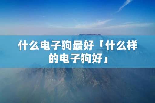 什么电子狗最好「什么样的电子狗好」