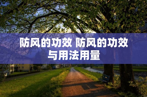 防风的功效 防风的功效与用法用量