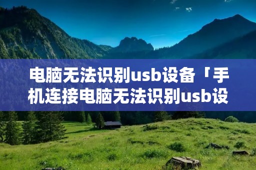 电脑无法识别u**设备「手机连接电脑无法识别u**设备」