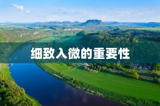 细致入微的重要性:为什么细心是一种宝贵的品质