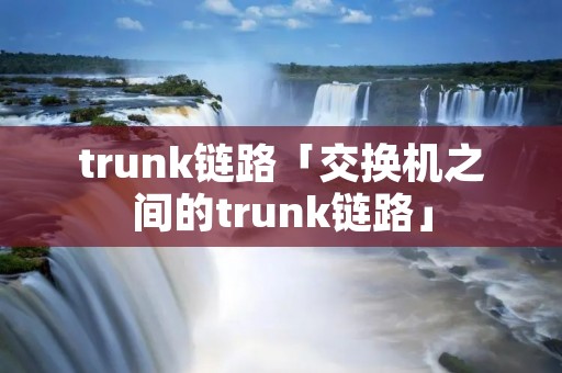 trunk链路「交换机之间的trunk链路」 trunk链路「交换机之间的trunk链路」