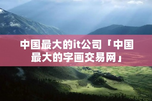 中国最大的it公司「中国最大的字画交易网」