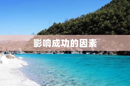 影响成功的因素