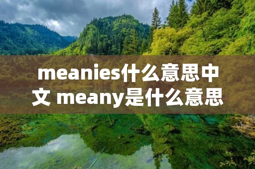 meanies什么意思中文 meany是什么意思中文