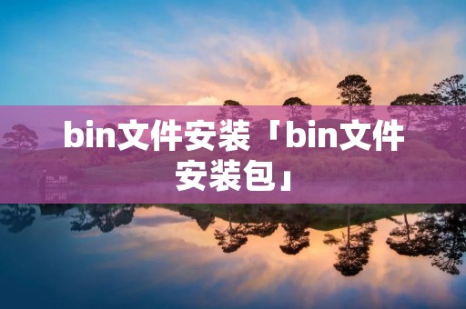 bin文件安装「bin文件安装包」