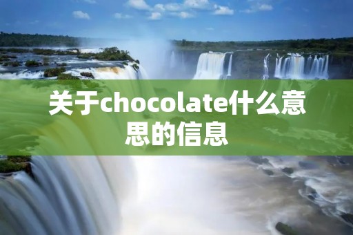 关于chocolate什么意思的信息