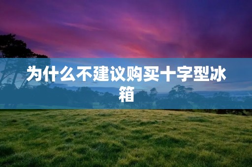 为什么不建议购买十字型冰箱