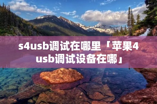 s4u**调试在哪里「苹果4u**调试设备在哪」