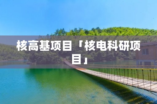 核高基项目「核电科研项目」