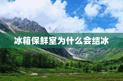 冰箱保鲜室为什么会结冰 冰箱保鲜室为什么会结冰