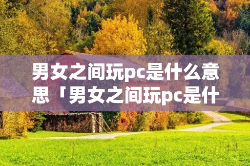 男女之间玩pc是什么意思「男女之间玩pc是什么意思呀」