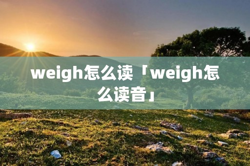 weigh怎么读「weigh怎么读音」