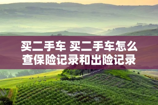 买二手车 买二手车怎么查保险记录和出险记录