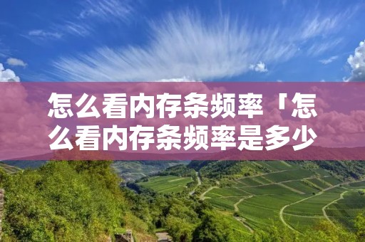 怎么看内存条频率「怎么看内存条频率是多少」