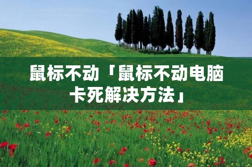 鼠标不动「鼠标不动电脑卡死解决方法」