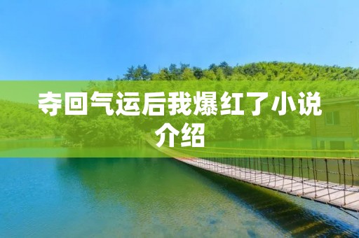 夺回气运后我爆红了小说介绍