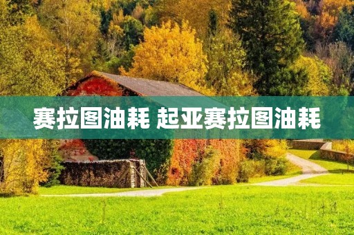 赛拉图油耗 起亚赛拉图油耗 赛拉图油耗 起亚赛拉图油耗