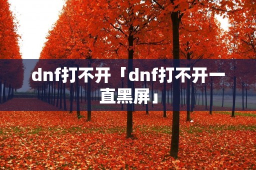 dnf打不开「dnf打不开一直黑屏」 dnf打不开「dnf打不开一直黑屏」