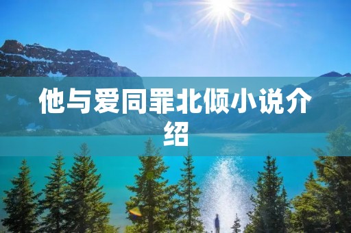 他与爱同罪北倾小说介绍