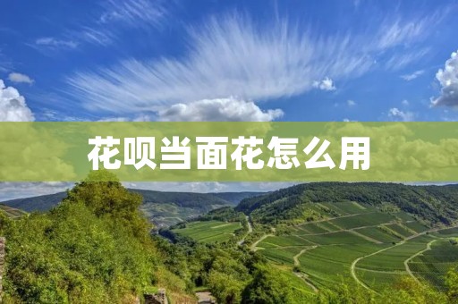 花呗当面花怎么用