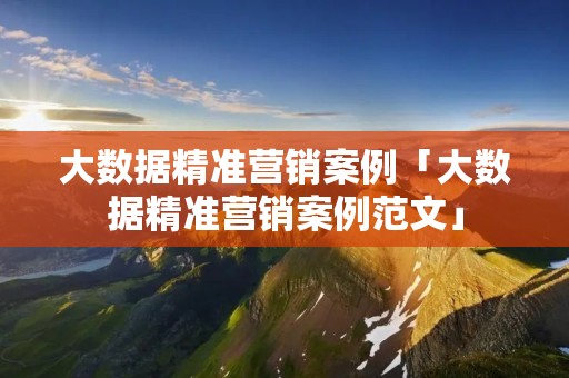 大数据精准营销案例「大数据精准营销案例范文」