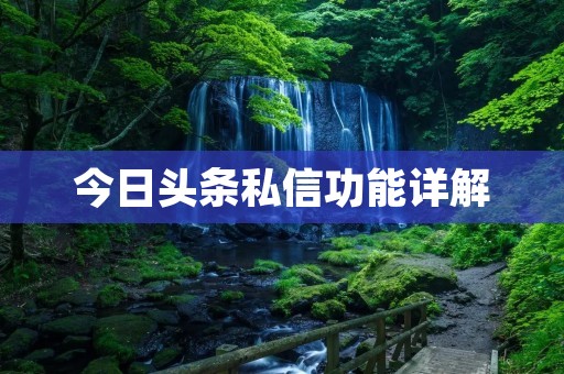 今日头条私信功能详解:如何快速与他人建立联系