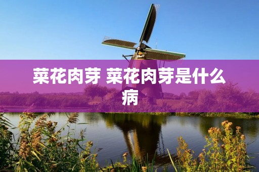 菜花肉芽 菜花肉芽是什么病