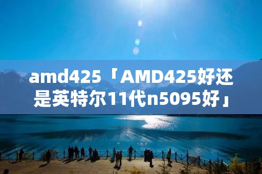 amd425「AMD425好还是英特尔11代n5095好」