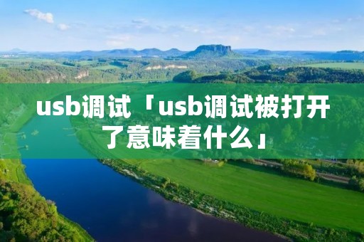 u**调试「u**调试被打开了意味着什么」 u**调试「u**调试被打开了意味着什么」