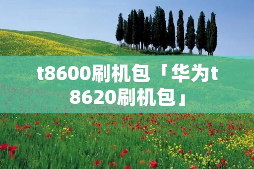 t8600刷机包「华为t8620刷机包」