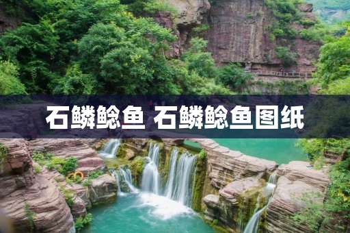 石鳞鲶鱼 石鳞鲶鱼图纸