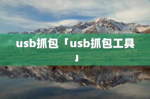 usb抓包「usb抓包工具」