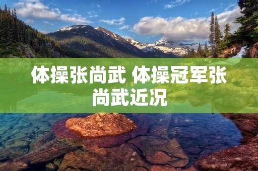 体操张尚武 体操冠军张尚武近况