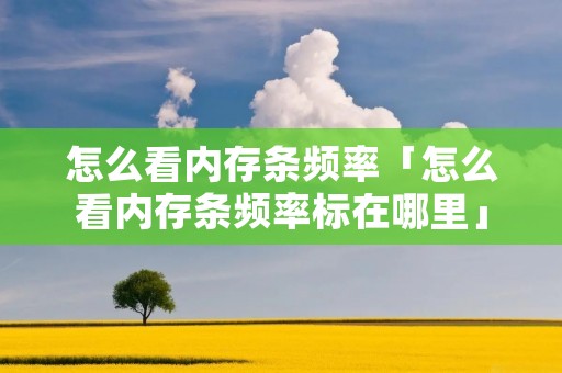 怎么看内存条频率「怎么看内存条频率标在哪里」 怎么看内存条频率「怎么看内存条频率标在哪里」