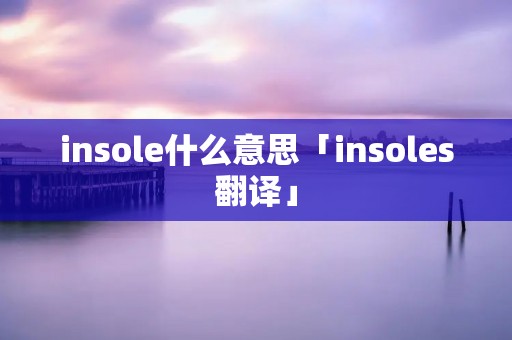 insole什么意思「insoles翻译」 insole什么意思「insoles翻译」
