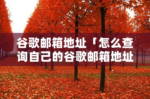 谷歌邮箱地址「怎么查询自己的谷歌邮箱地址」 谷歌邮箱地址「怎么查询自己的谷歌邮箱地址」