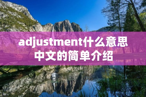 adjustment什么意思中文的简单介绍