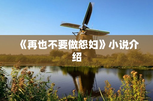 《再也不要做怨妇》小说介绍