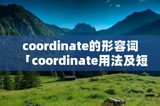 coordinate的形容词「coordinate用法及短语」