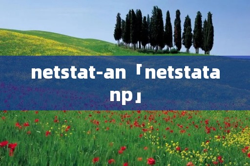 netstat-an「netstatanp」