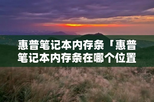 惠普笔记本内存条「惠普笔记本内存条在哪个位置图解」