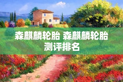 森麒麟轮胎 森麒麟轮胎测评排名 森麒麟轮胎 森麒麟轮胎测评排名