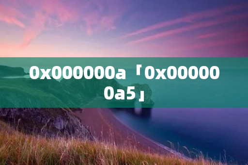 0x000000a「0x000000a5」 0x000000a「0x000000a5」