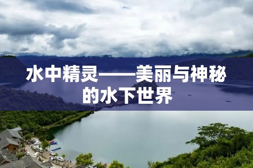 水中精灵——美丽与神秘的水下世界
