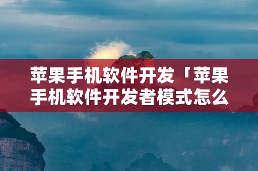 苹果手机软件开发「苹果手机软件开发者模式怎么打开不了」