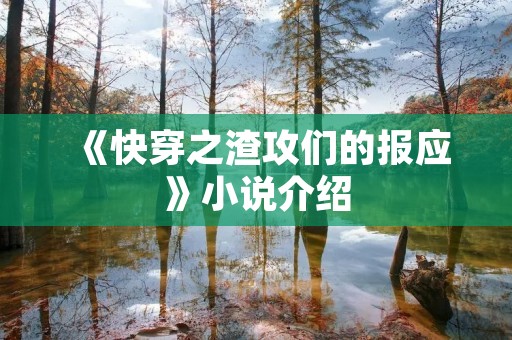 《快穿之渣攻们的报应》小说介绍